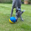 Roller Ball feeder for dog