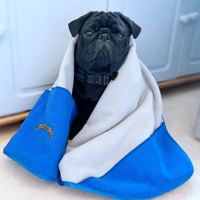 Dog drying towel Grey