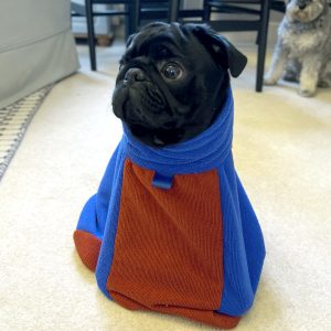 Dog Drying Bag