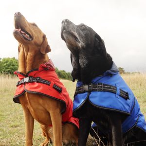 Rain coat with 2 dogs