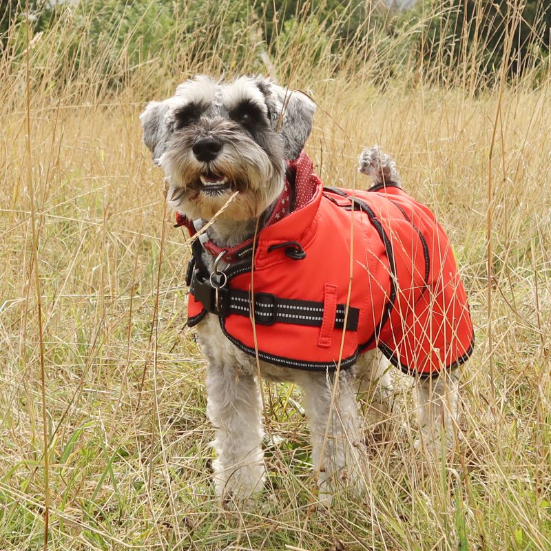 Rain coat_Red