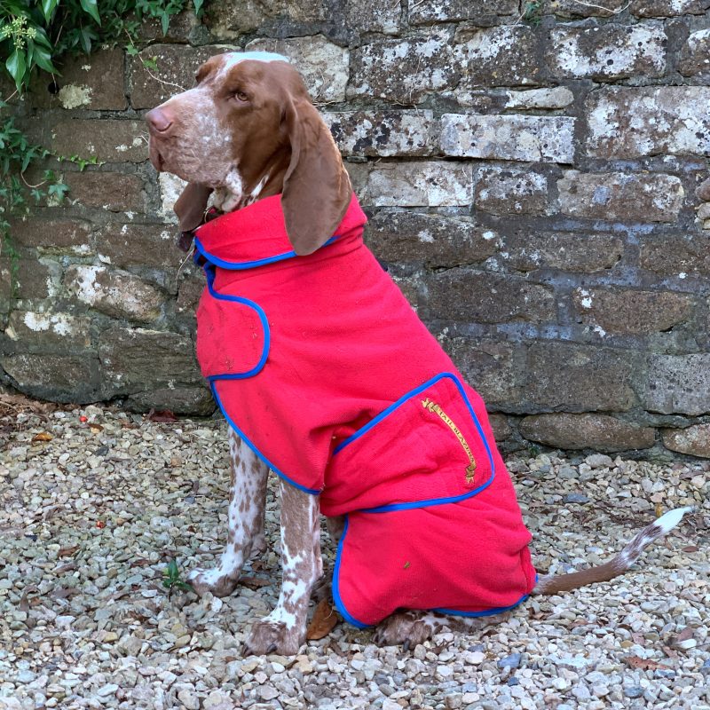 Classic Dog Drying Coat Red