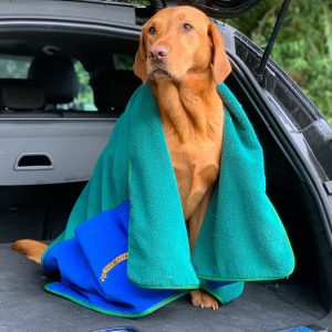 Dog drying towel green