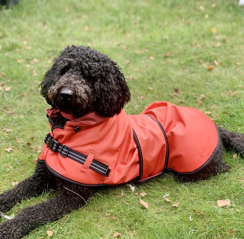 Rain coat_Red