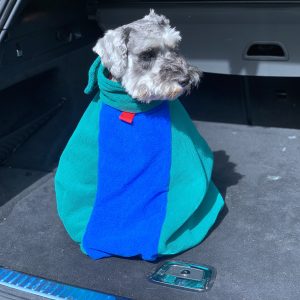 dog drying bag green