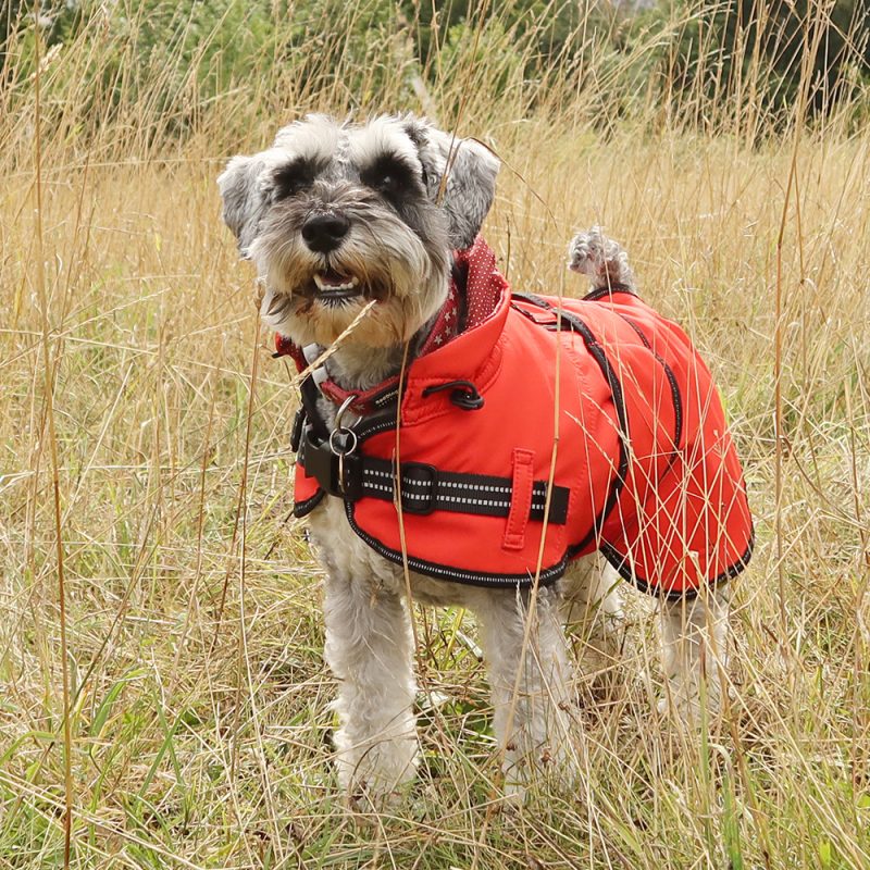 Dog Raincoat